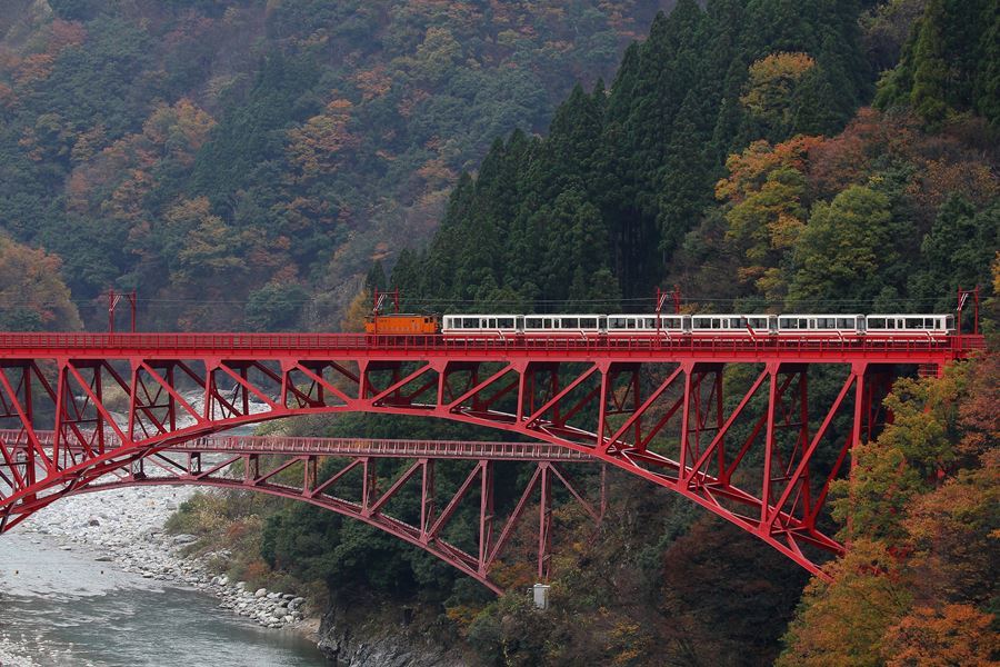 紅葉、トロッコ列車