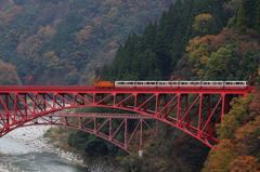 紅葉、トロッコ列車