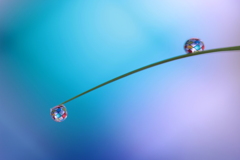 心海ＤＲＯＰＳ　66－2