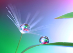 心海ＤＲＯＰＳ　106