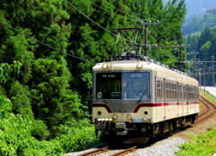 待ってたよ！　ダイコン君～♪