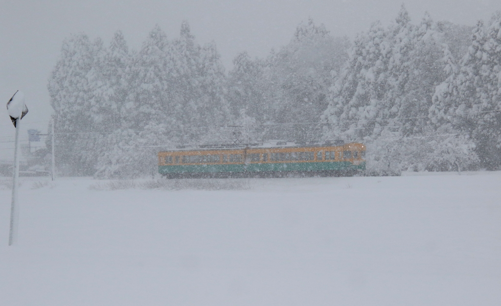 かぼちゃ君～♪吹雪の中を行く～～