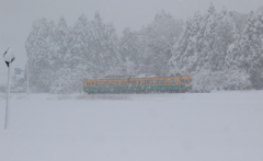 かぼちゃ君～♪吹雪の中を行く～～