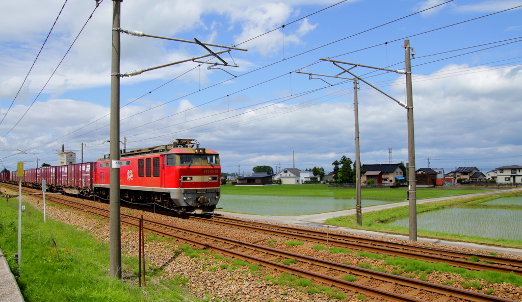 レッドサンダー君~♪登場