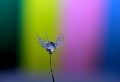 空と君の間には～♪