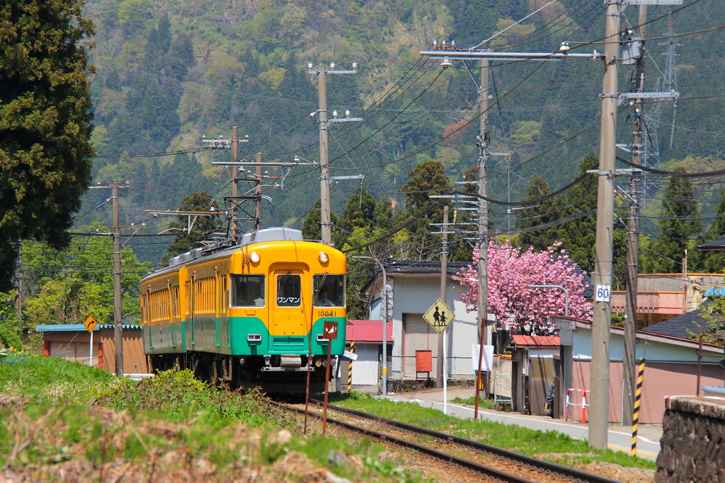 ガッタンゴットン～♪来たよ！