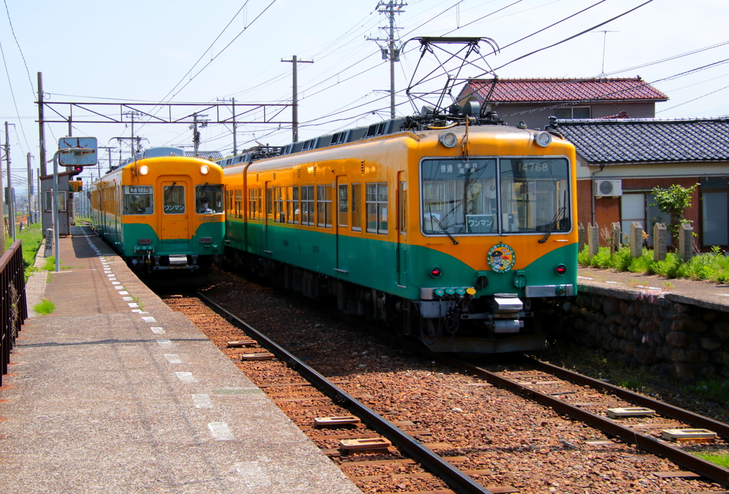 Wかぼちゃ君～♪