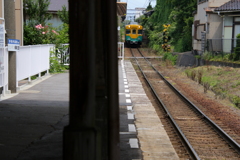 かぼちゃ君~♪
