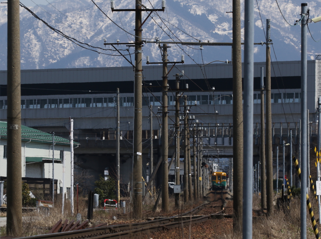 カボチャ電車君