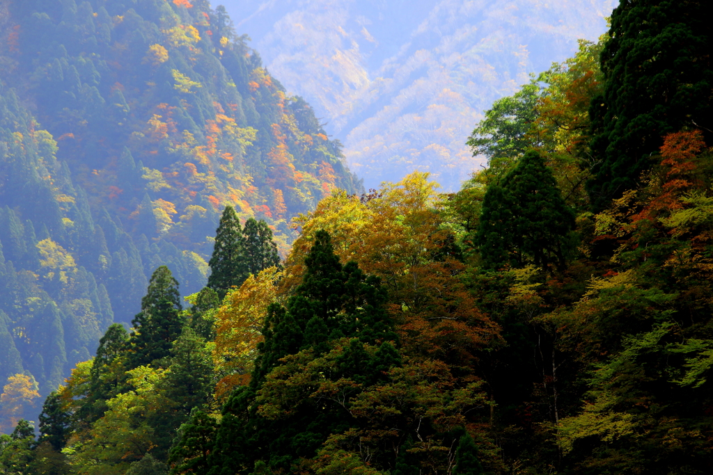 色づき始めた山々