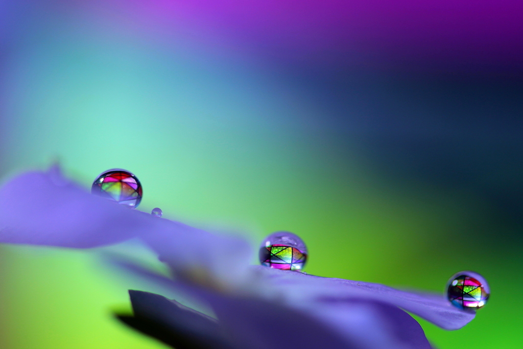 心海ｄｒｏｐｓ