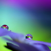 心海ｄｒｏｐｓ