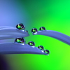 心海ｄｒｏｐｓ
