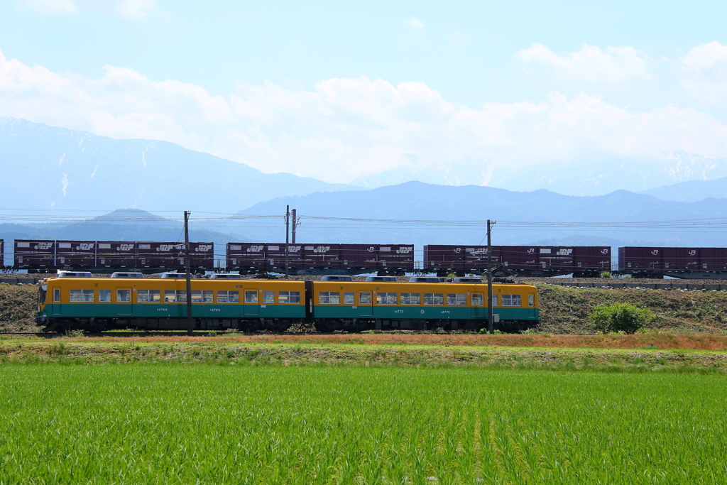 レッドサンダーが貨物を連れてやってきた～！（カボチャ電車君も参戦）