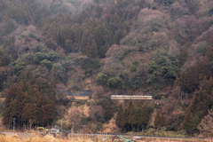 雪が溶けて・・・