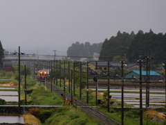 雨の日のダブルデッカー君