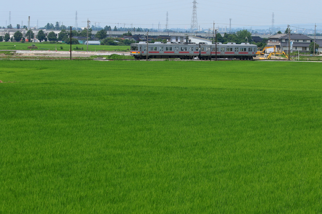 青田の中を走る