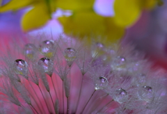 ヒーリング☆・・☆♪