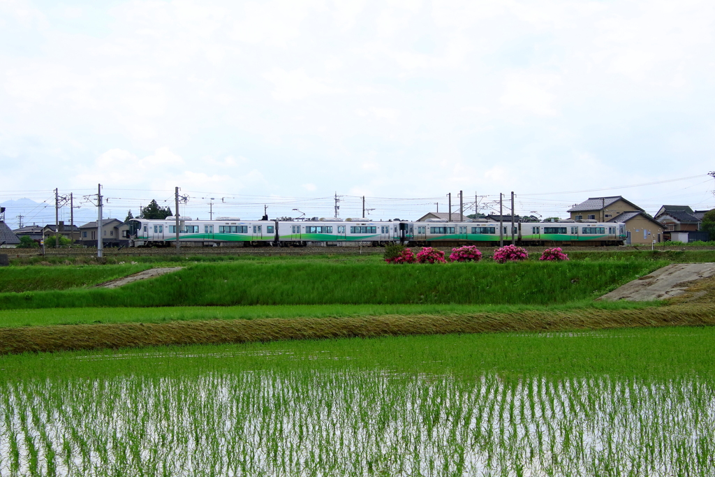 田園走る・・・♪　あいの風鉄道