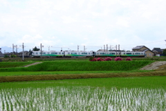 田園走る・・・♪　あいの風鉄道