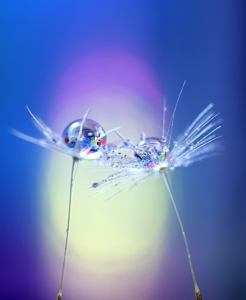 心海ＤＲＯＰＳ・・・