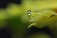雫