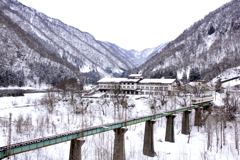 ダイコン君の旅