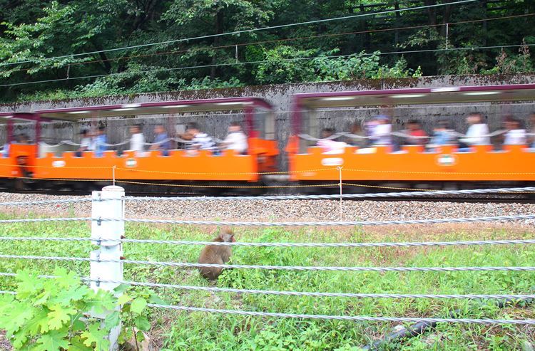 ぼくも乗せて～！