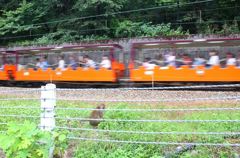 ぼくも乗せて～！