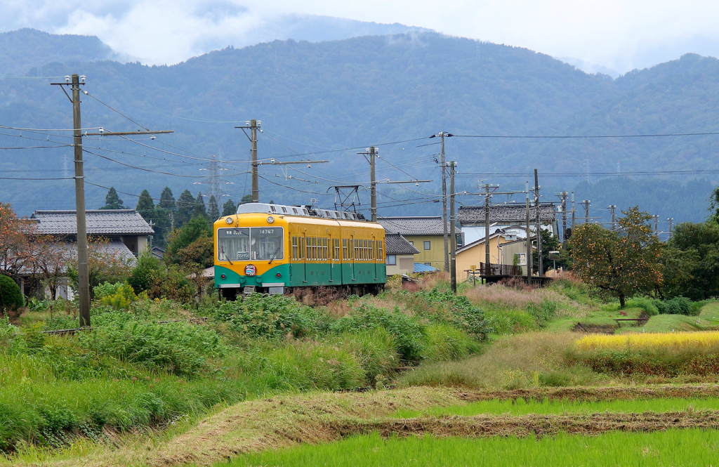 かぼちゃ君～♪　秋を行く～♪