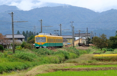 かぼちゃ君～♪　秋を行く～♪