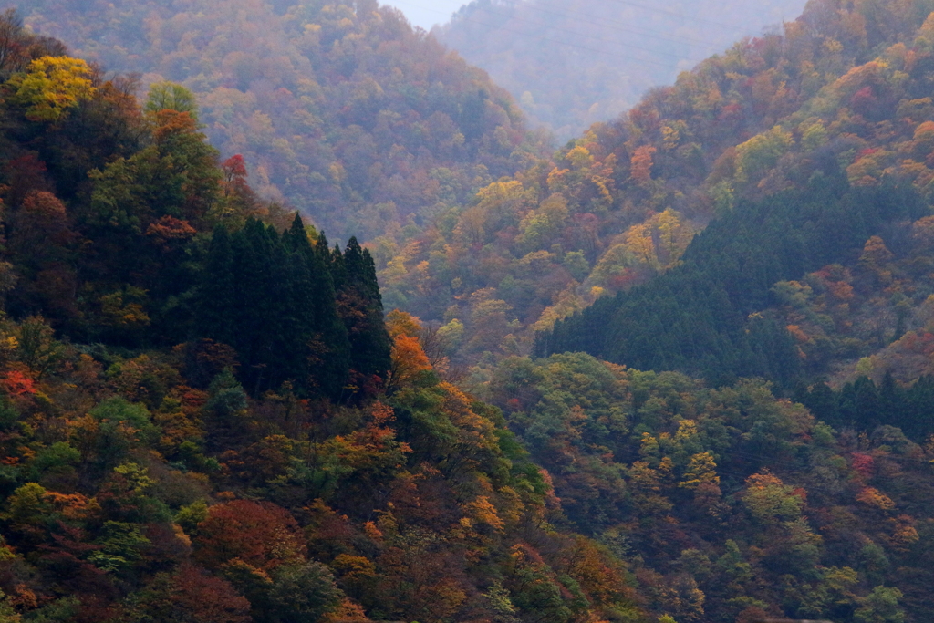 山々の紅葉