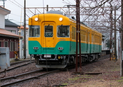 かぼちゃ君～♪