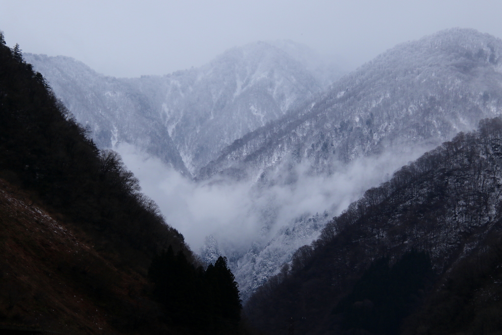 山