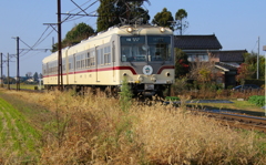 ダイコン君～♪