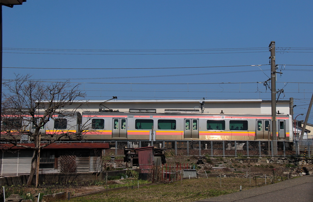 電車君が・・・