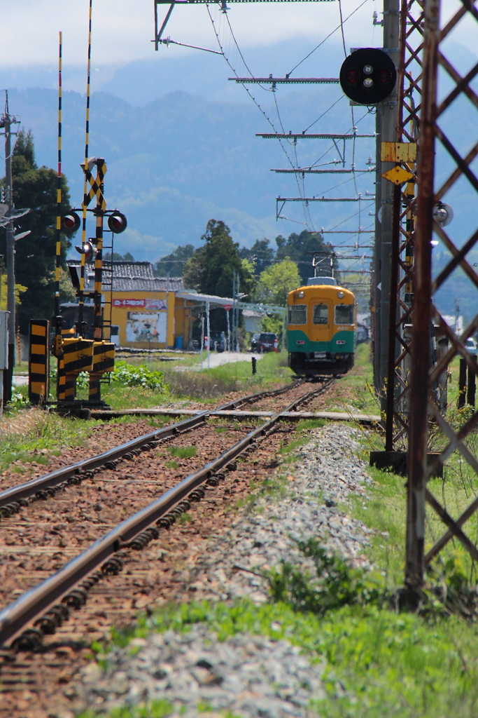 かぼちゃ電車君を追いかけて～