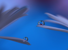 支え合い共にあり