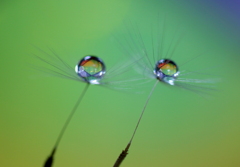 共に歩めたなら・・福福幸せ～♪