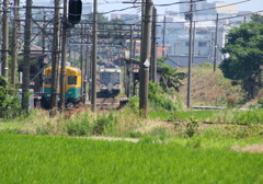 陽炎に揺れ・・・