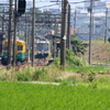 陽炎に揺れ・・・