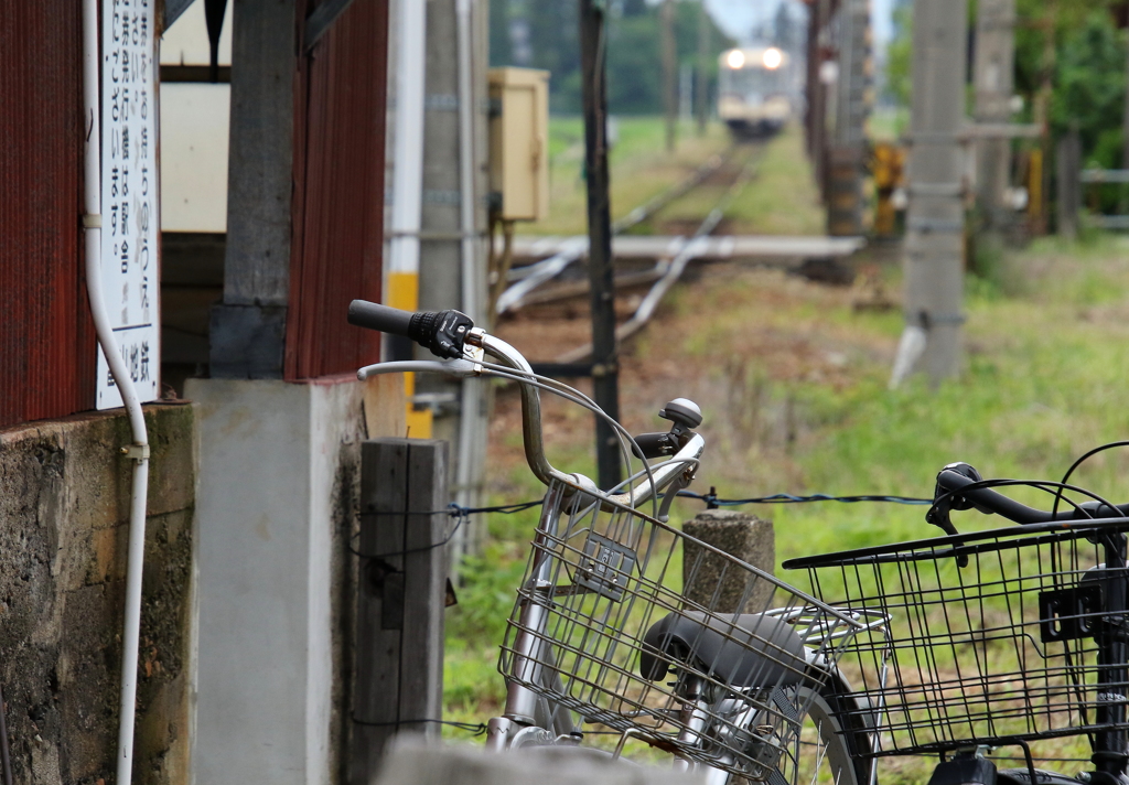 電車が来るよ～！急げ！