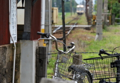 電車が来るよ～！急げ！