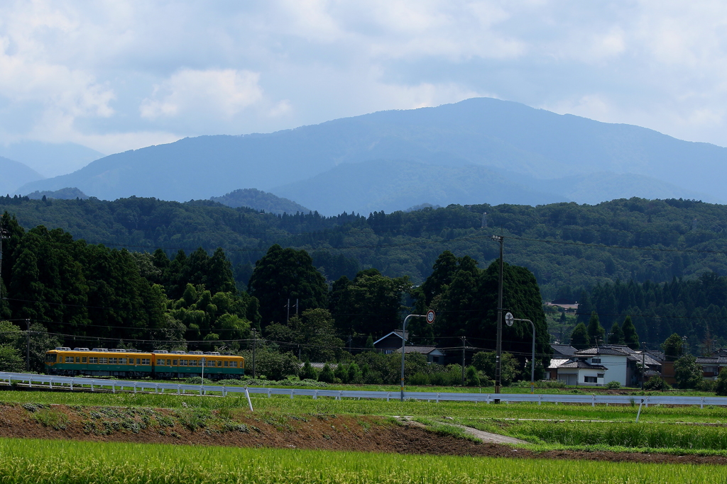 カボチャ電車君～！