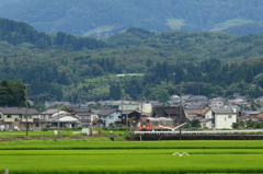 電車が来るよ～