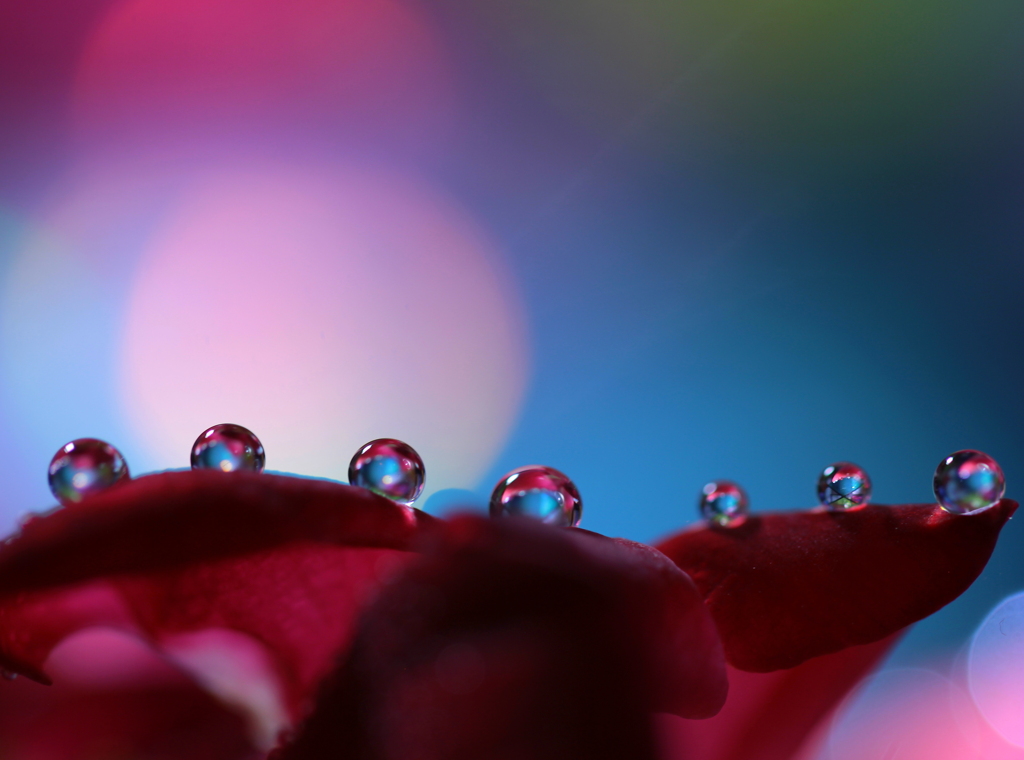 心海ＤＲＯＰＳ・・・　続3