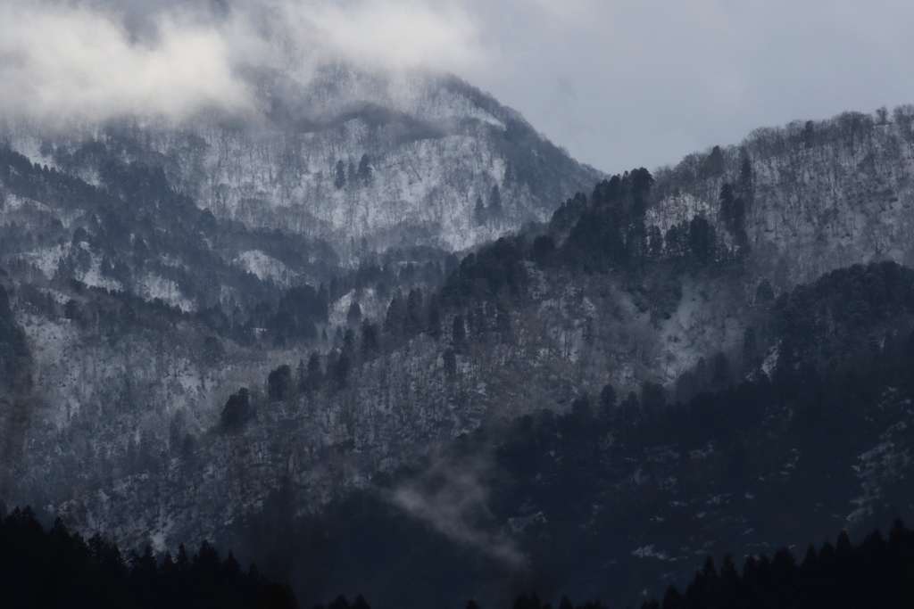 山
