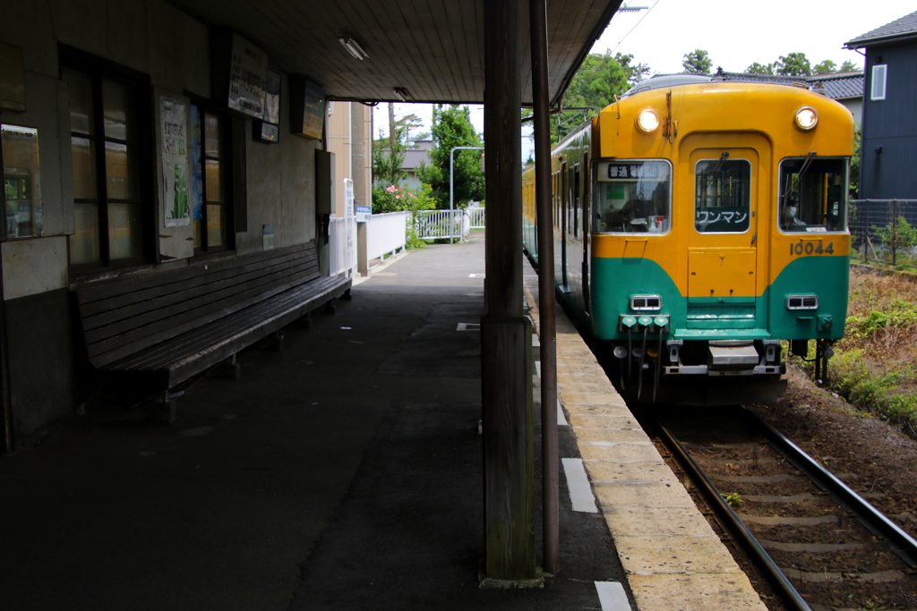 待ってたよ～かぼちゃ君♪