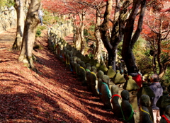 生きているって、私の前を歩いて通り過ぎれること・・・ありがたや～♪