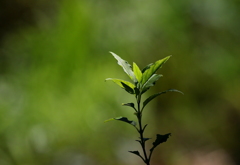 日の当たる場所